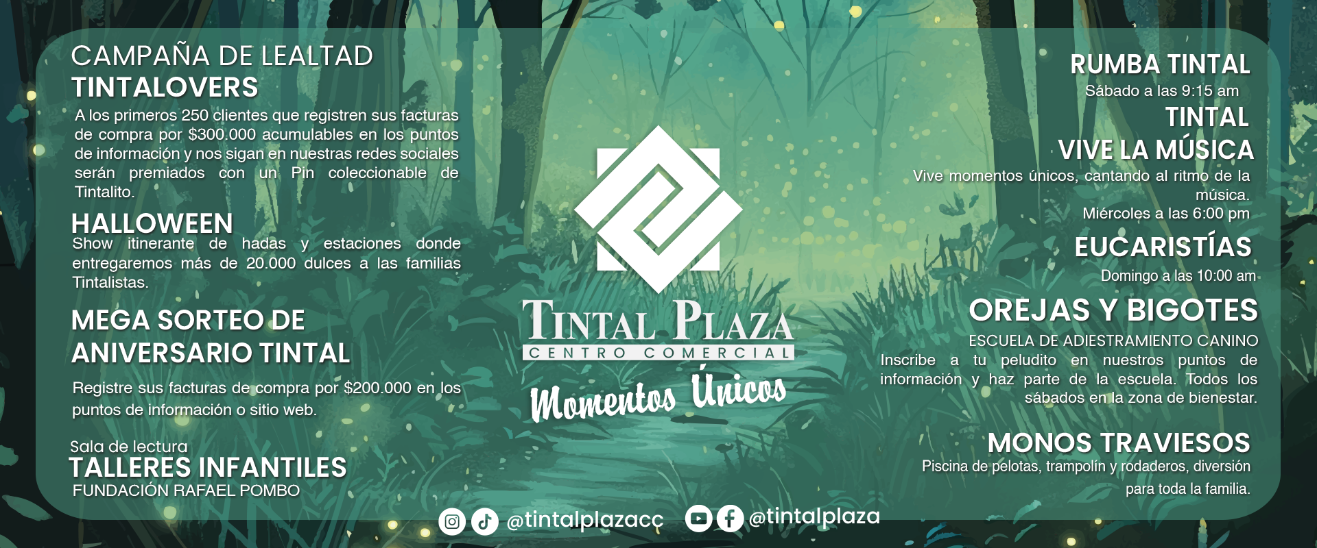 BANNER-SITIO-WEB-PROGRAMACION