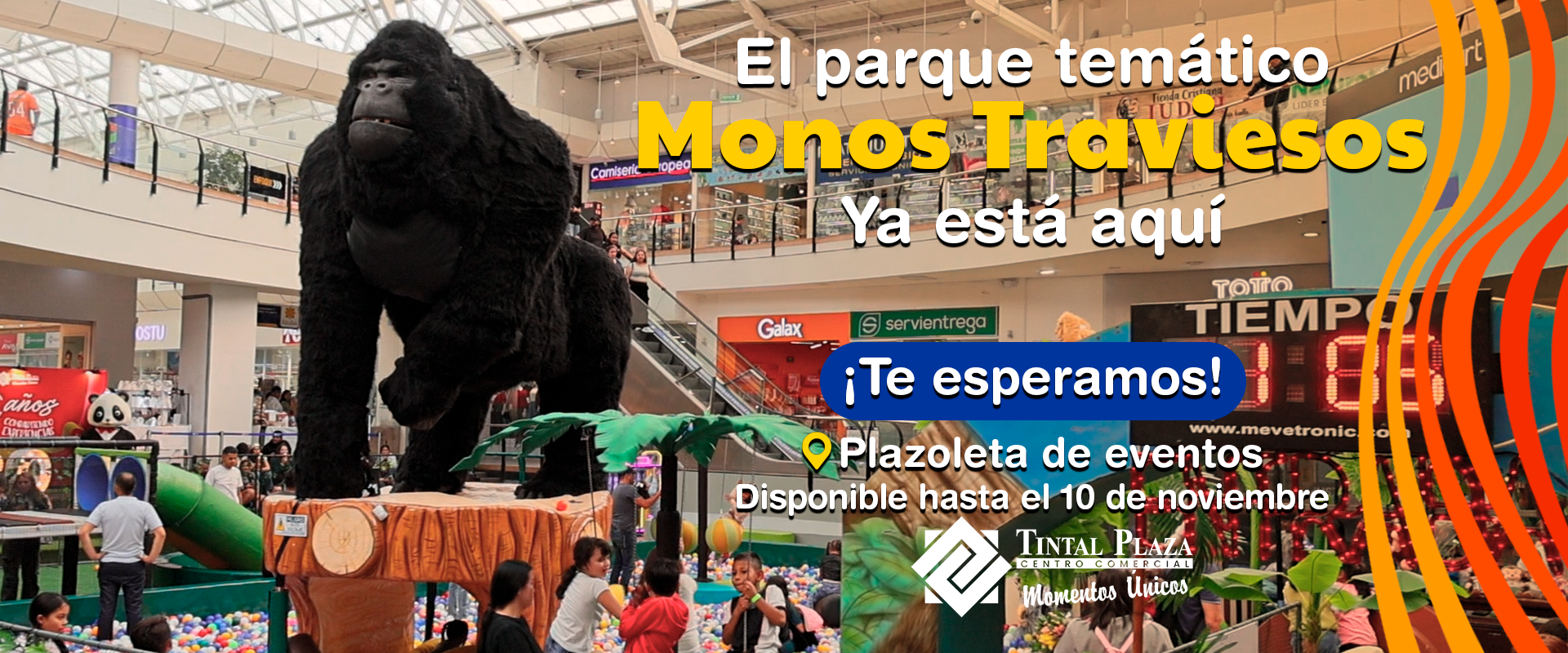 Monos-Traviesos