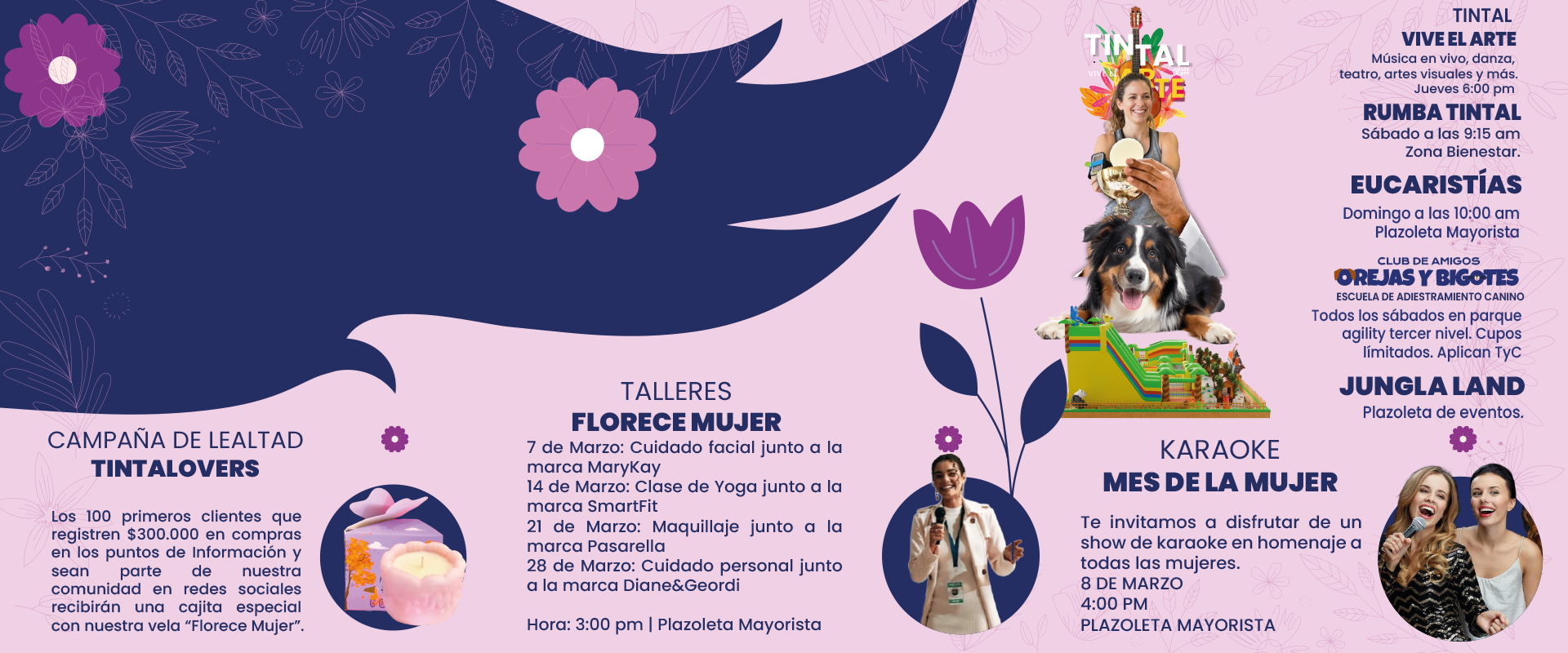 BANNER-SITIO-WEB-PROGRAMACION-MARZO